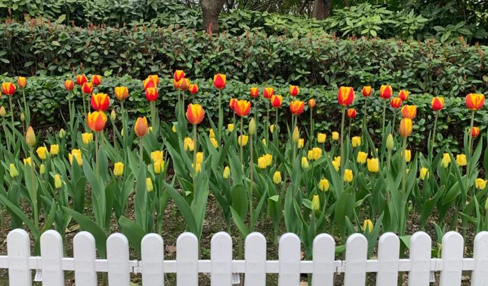 ϣwilliamhill(й)-ٷվ