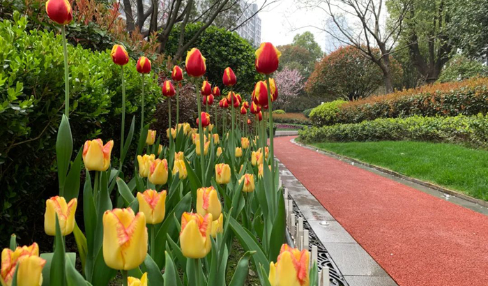 ϣwilliamhill(й)-ٷվ