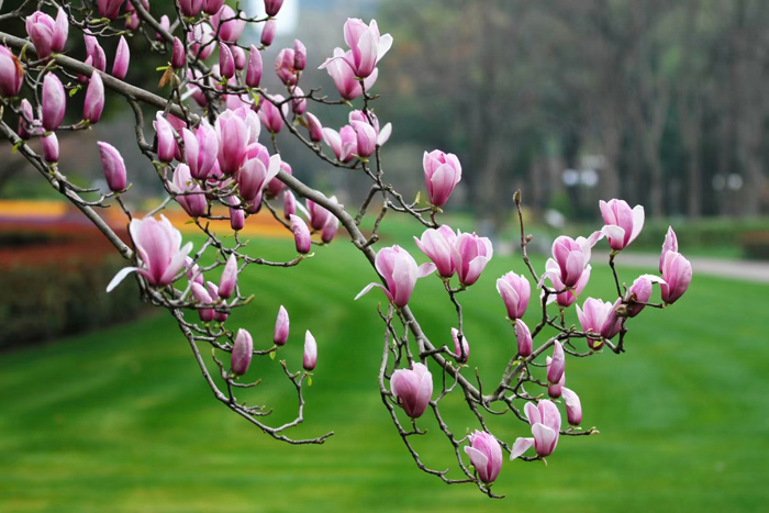 ϣwilliamhill(й)-ٷվ