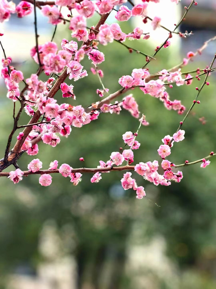 ϣwilliamhill(й)-ٷվ