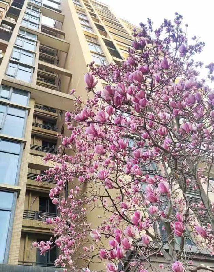 ϣwilliamhill(й)-ٷվ