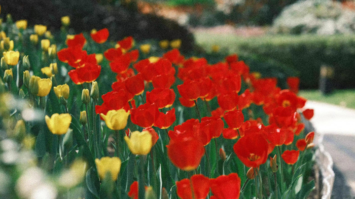 ϣwilliamhill(й)-ٷվ