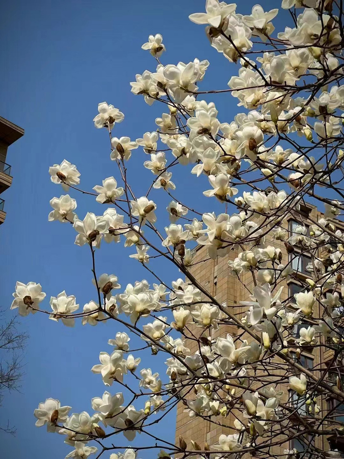 ϣwilliamhill(й)-ٷվ