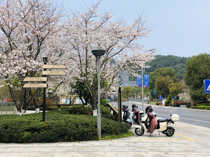 ϣwilliamhill(й)-ٷվ