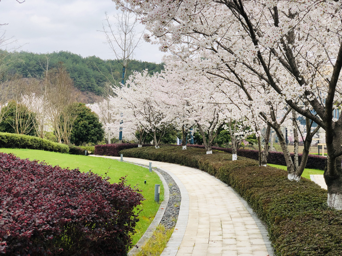 ϣwilliamhill(й)-ٷվ