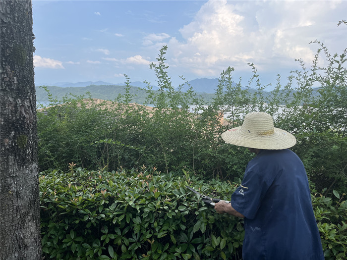 ϣwilliamhill(й)-ٷվ