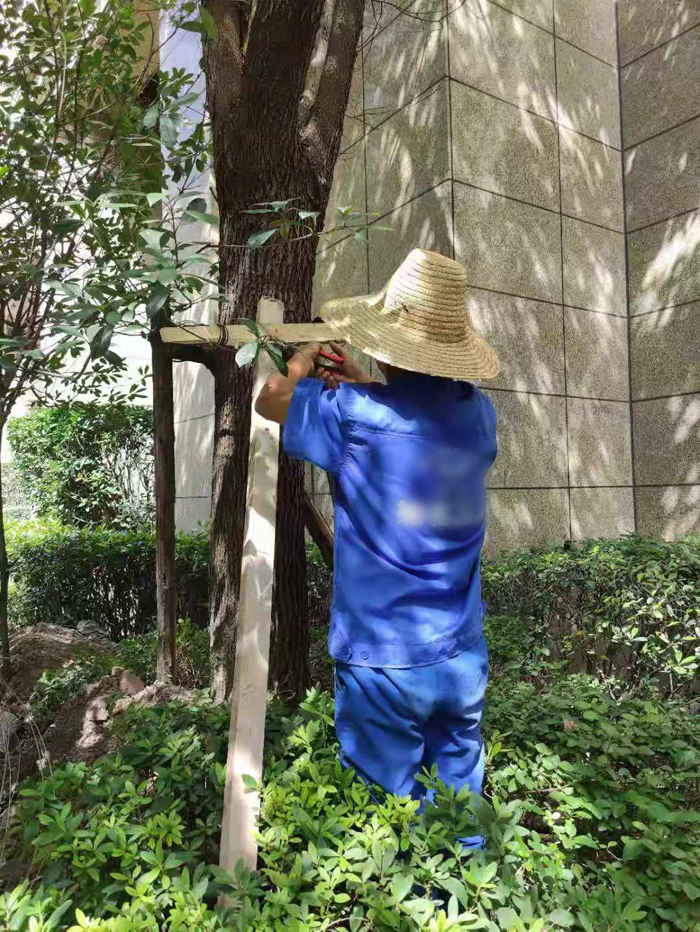 ϣwilliamhill(й)-ٷվ