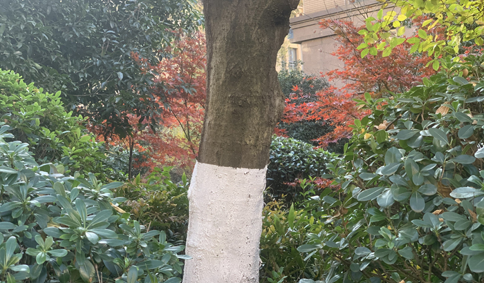 ϣwilliamhill(й)-ٷվ