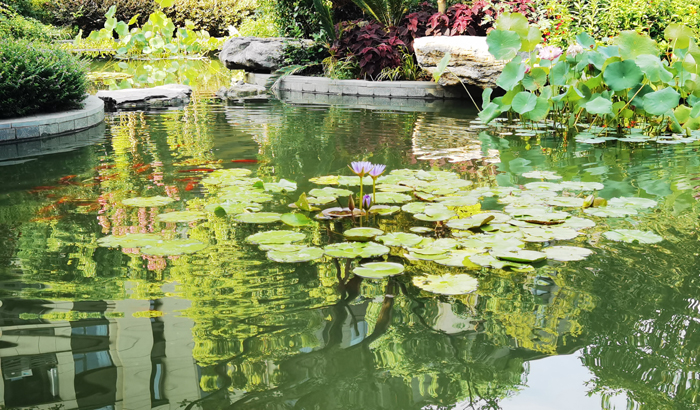 ϣwilliamhill(й)-ٷվ