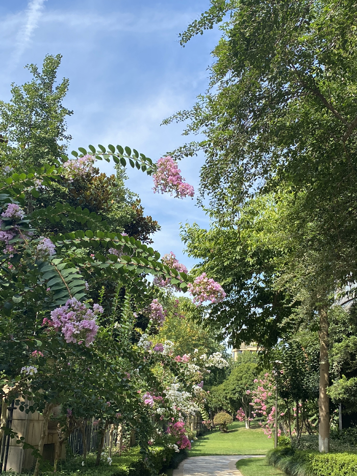 ϣwilliamhill(й)-ٷվ