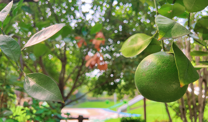 ϣwilliamhill(й)-ٷվ