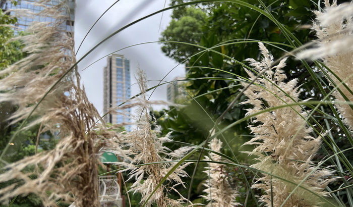 ϣwilliamhill(й)-ٷվ