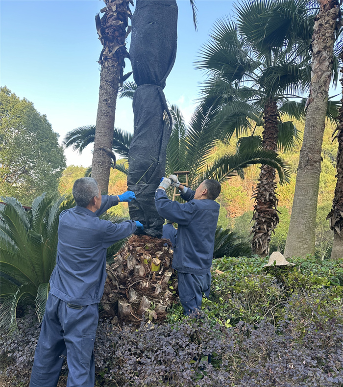 ϣwilliamhill(й)-ٷվ