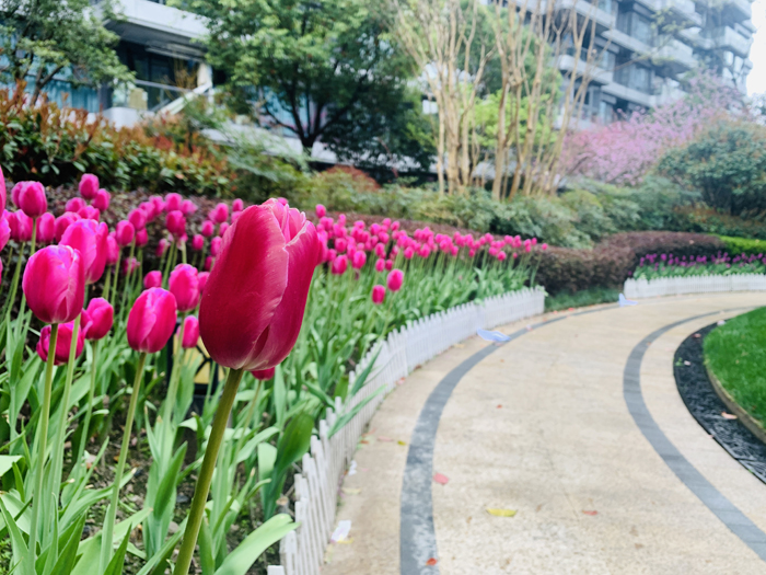 ϣwilliamhill(й)-ٷվ