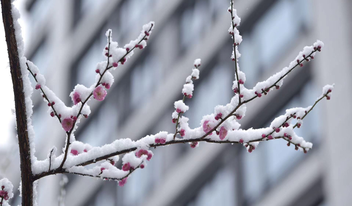 ϣwilliamhill(й)-ٷվ