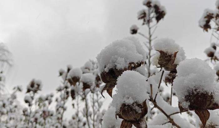 ϣwilliamhill(й)-ٷվ