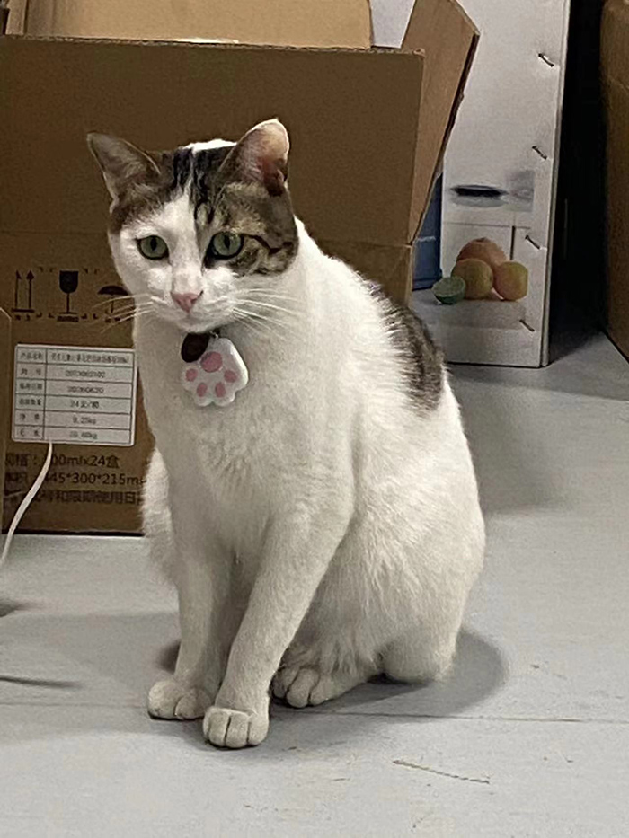 ϣwilliamhill(й)-ٷվ