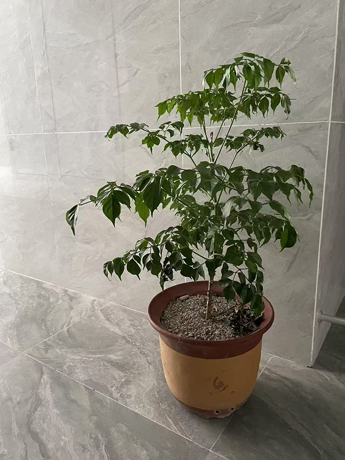 ϣwilliamhill(й)-ٷվ