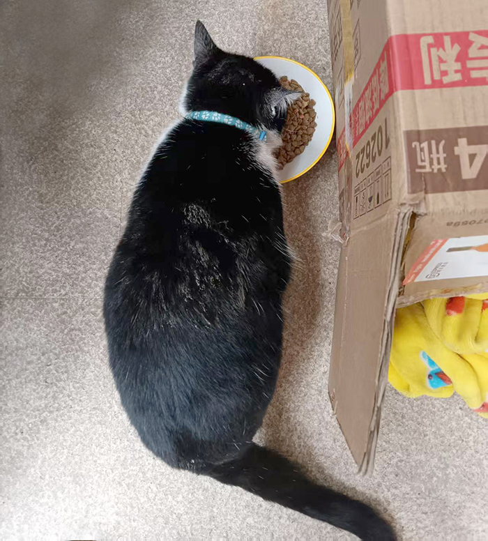 ϣwilliamhill(й)-ٷվ